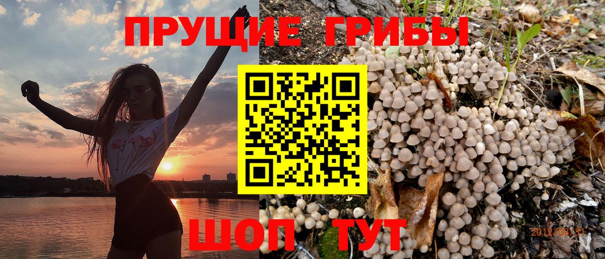 Наро-Фоминск  Галлюциногенные грибы Cubensis  купить наркоту  Вход с VPN  Псилоцибиновые грибы мухоморы 